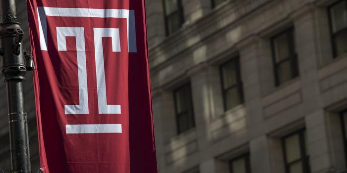 A Temple University flag in Center City Philadelphia