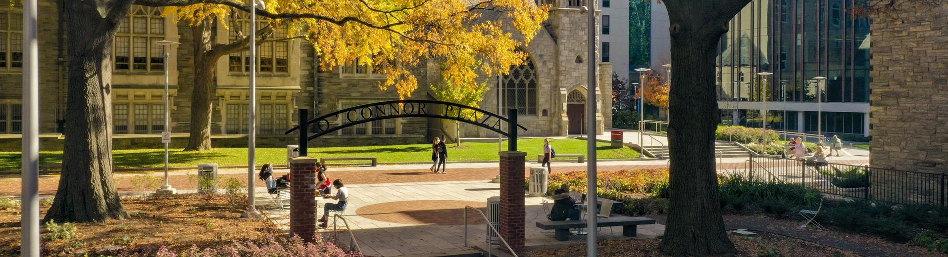 an aerial shot of a courtyard on main campus.